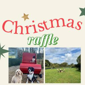 Raffle ticket £2 each
