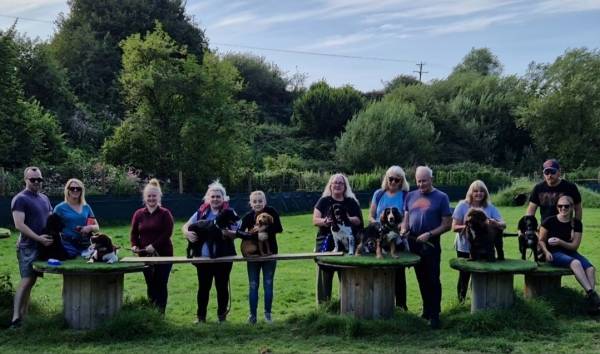 Crazy Spaniel social Saturday 11th October 4.30pm