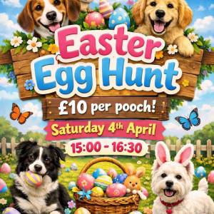 Pawsome Fun Easter Egg Hunt Saturday 4th April 3pm